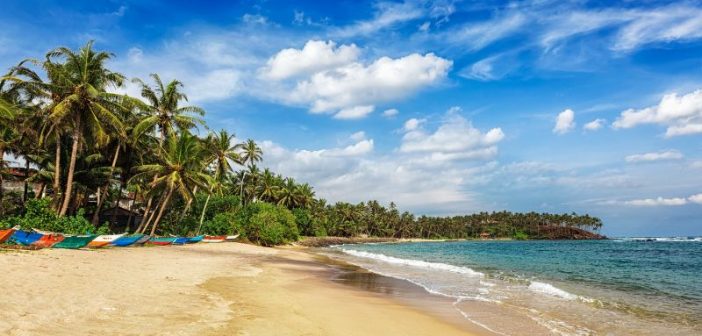 Voici les choses à faire lors d’un voyage mémorable au Sri Lanka